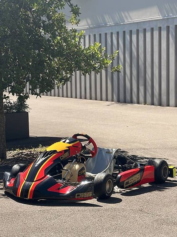 Go-Kart: Rennkart Chassis CS55 OTK – Usato da Merlischachen venduto da Jamie-Tristan 1
