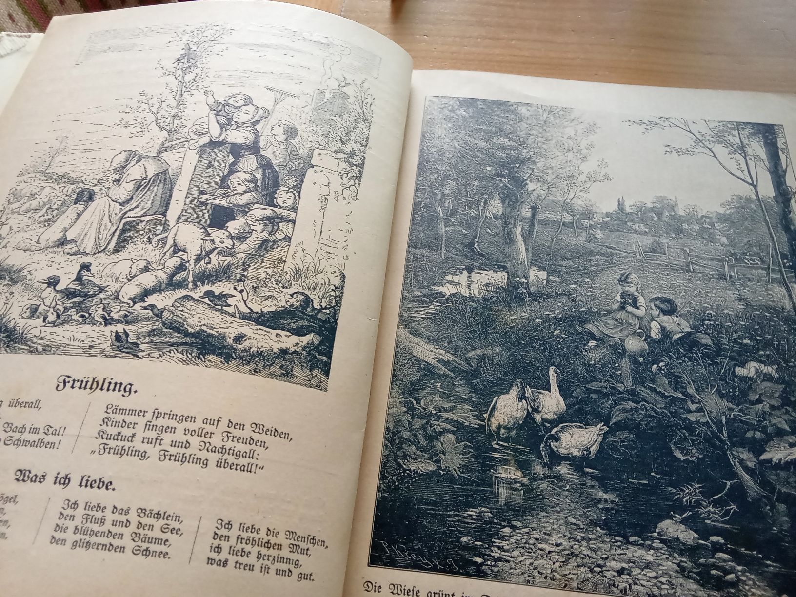 Libri: KINDER LUST UND KINDERLEBEN – Usato da Muri BE venduto da Alk 2