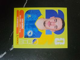 BIH 12