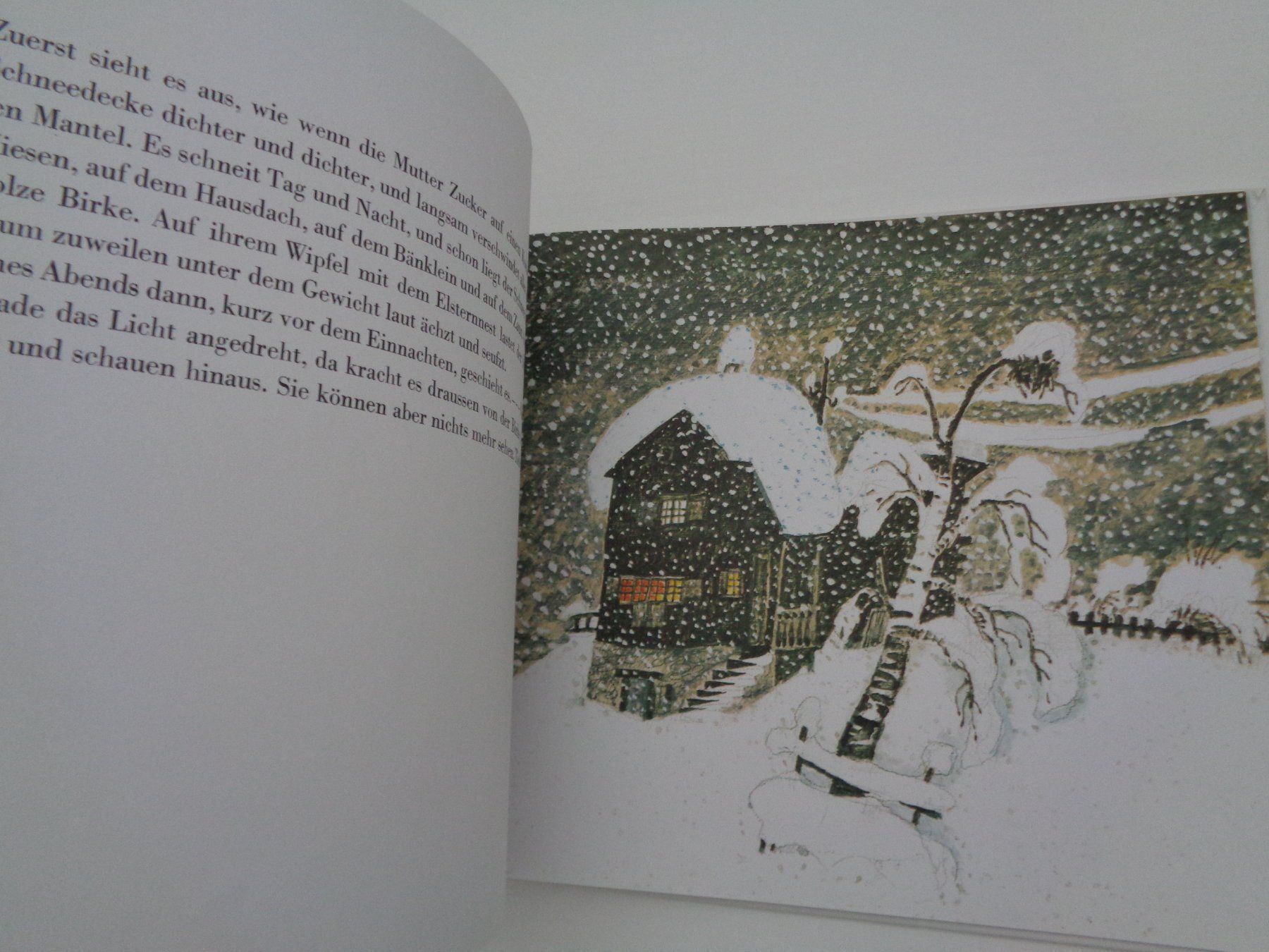 Libri: Birnbaum Birke Berberitze A. Carigiet – Usato da Chur venduto da omonia 5