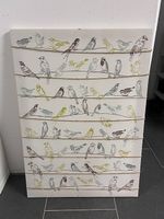 Bild Vögel