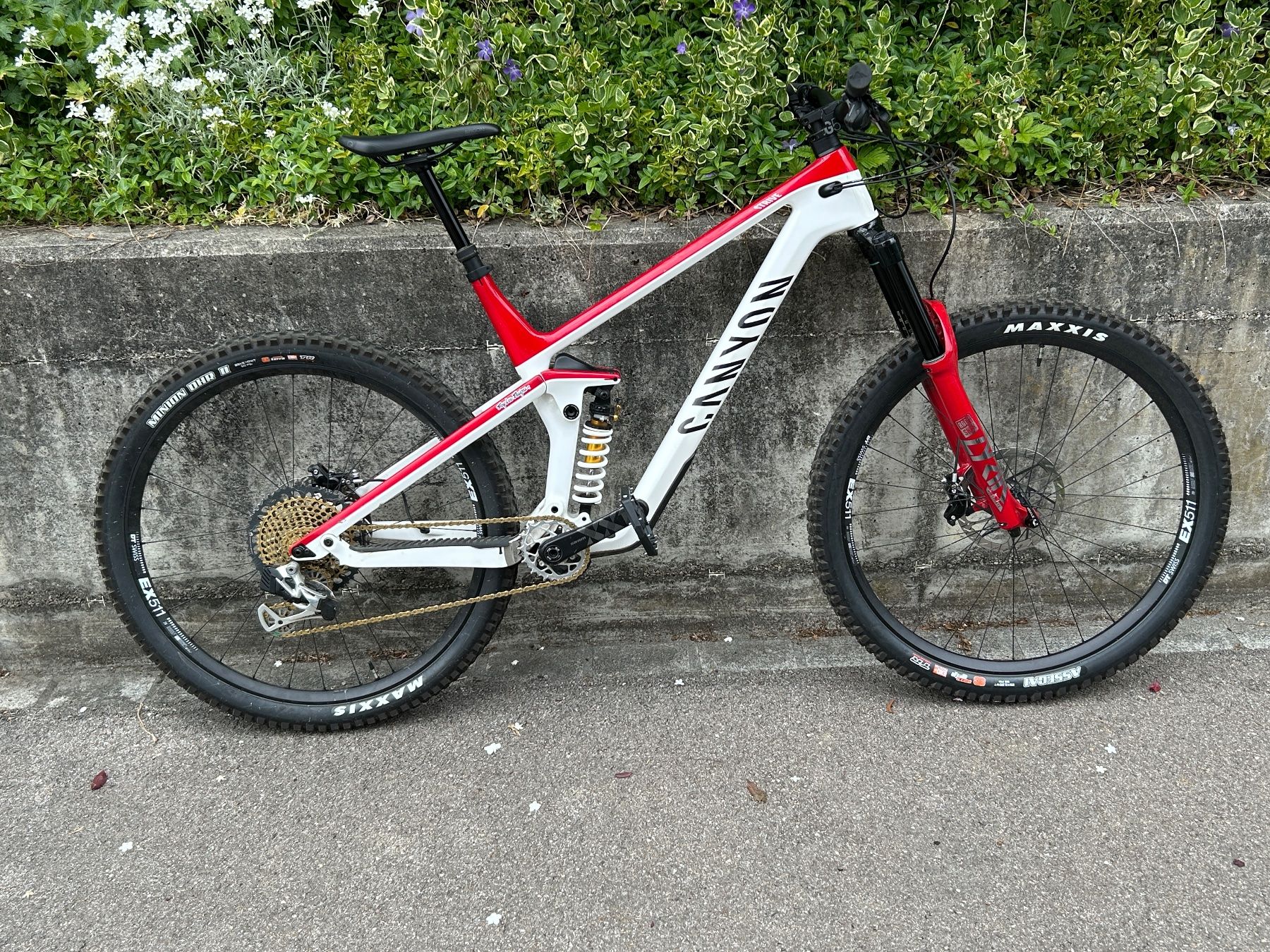 Canyon Biciclette: Canyon Strive 29'', CF 9.0 Custom, Tuning, Top Zustand! – Usato da Mauren TG venduto da webschen