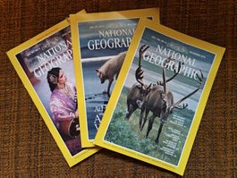 National Geographic - Komplette Sammlung 1974 - 1987