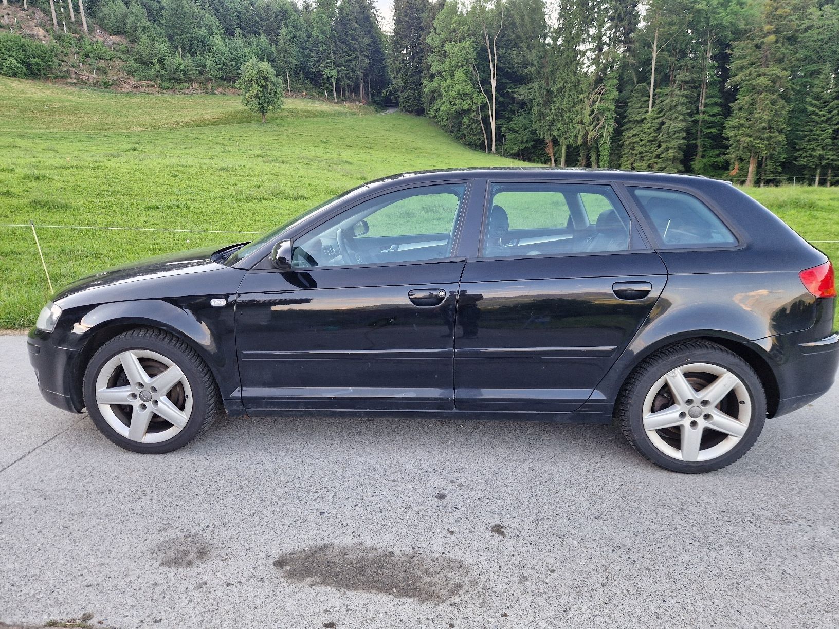 Audi Automobili: Audi a3 2.0 tdi Quattro – Usato da Meierskappel venduto da Masseyboy 7