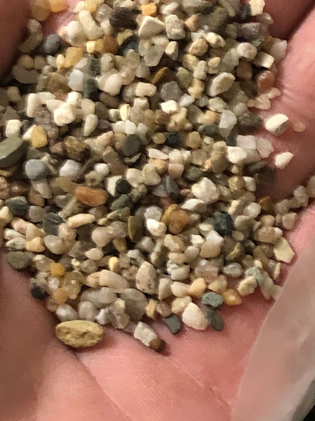 Amazonas Alle Dekorationen: Amazonas Aquariumkies 2-3mm – Gebraucht aus Flawil von noplan 1