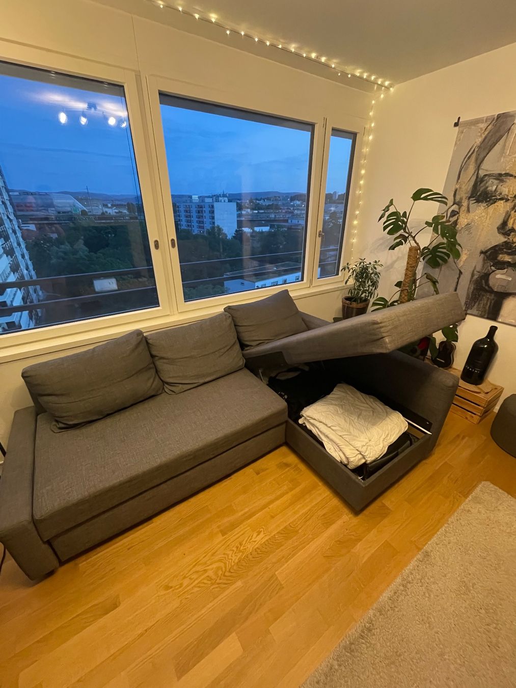 Ikea Sofas: GRATIS: IKEA FRIHETEN Ecksofa mit Schlaffunktion – Gebraucht aus Basel von lai_h6kh 5