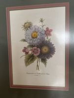 Blumenbild „Marguerites et Oeillet de la Chine“gerahmt 53/42