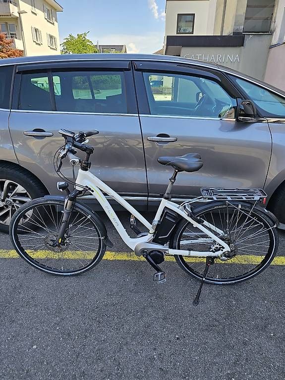Biciclette: E BIKE  FLYER Next Generation 25 km/h – Usato da Zug venduto da abv_9t5d