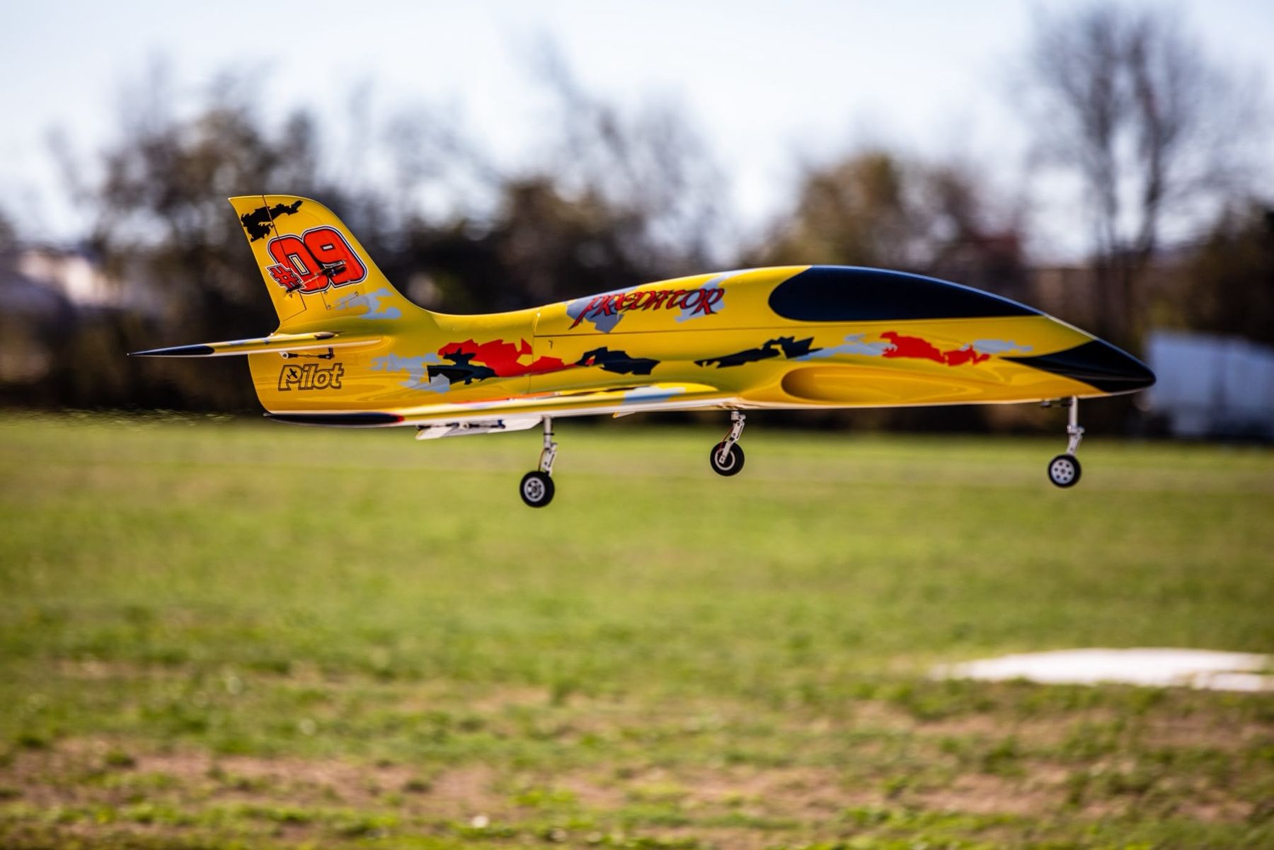 Pilot-RC Modellismo RC: Pilot RC Predator 1.8m  – Usato da Besenbüren venduto da oli_6ts9
