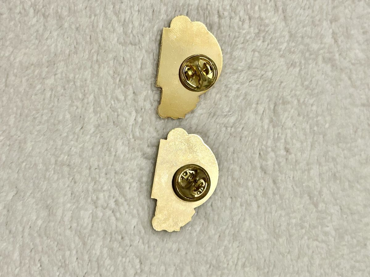 SBB/CFF/FFS Placchette & Badge: 2 Pins Junior Club SBB – Usato da Uster venduto da xBeccax 2