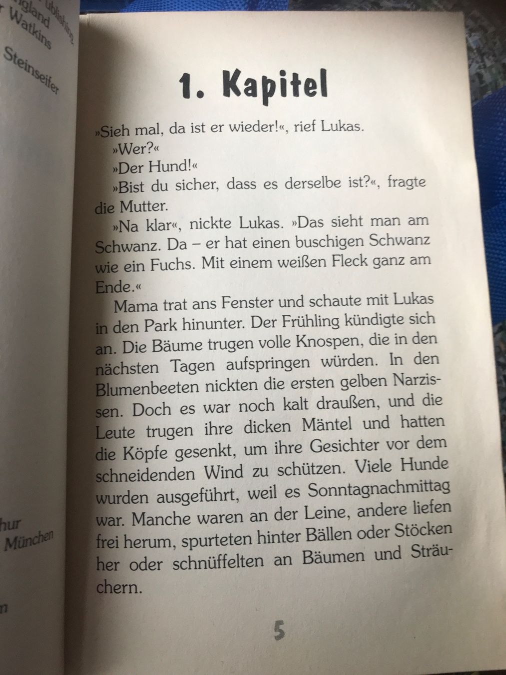 Libri: ein Schlappohr namens Buschi – Usato da Bergdietikon venduto da book-4-you 1