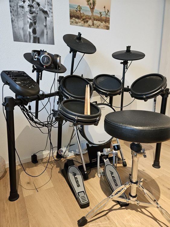 Sitemapcdatahttphauskniqoocomspannende E Drum Gebraucht Bildernull