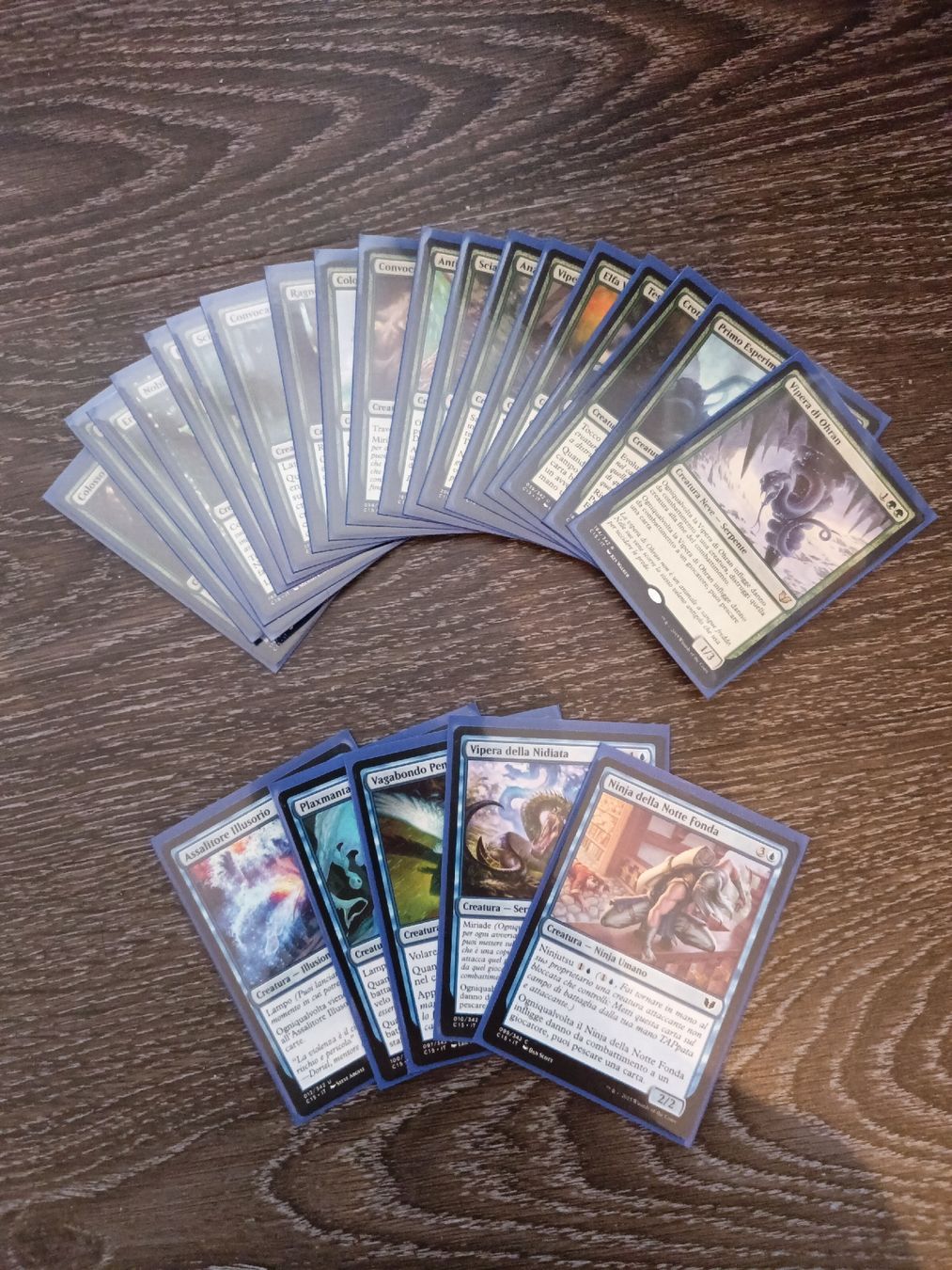 Magic The Gathering Carte collezionabili: MTG Commander sleeved "Swell the Host" (IT) – Nuovo (secondo la descrizione) da Glarus venduto da tale1991 1