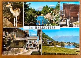 Les Marécottes - Zoo & Piscine - Carte ancienne