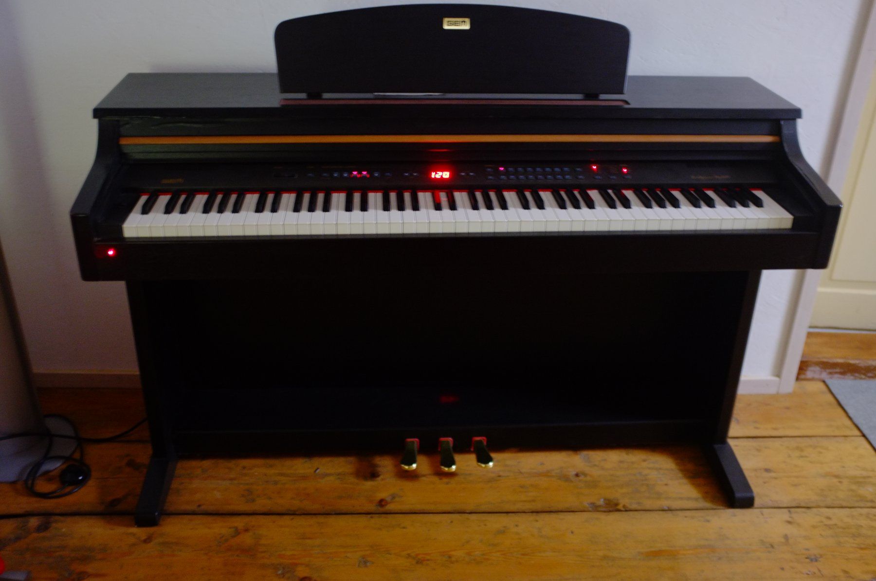 Strumenti musicali: GEM Real Pina RP800 digital – Difettoso da Ennenda venduto da HOLMEX