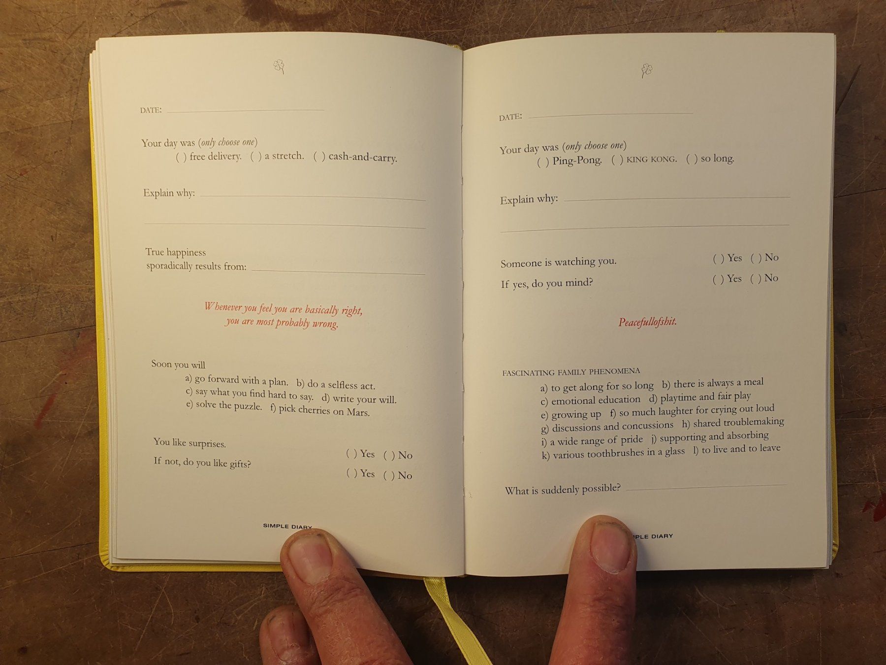 Libri: Keels simple Diary - Philipp Keel – Usato da Zürich venduto da loosebone 5
