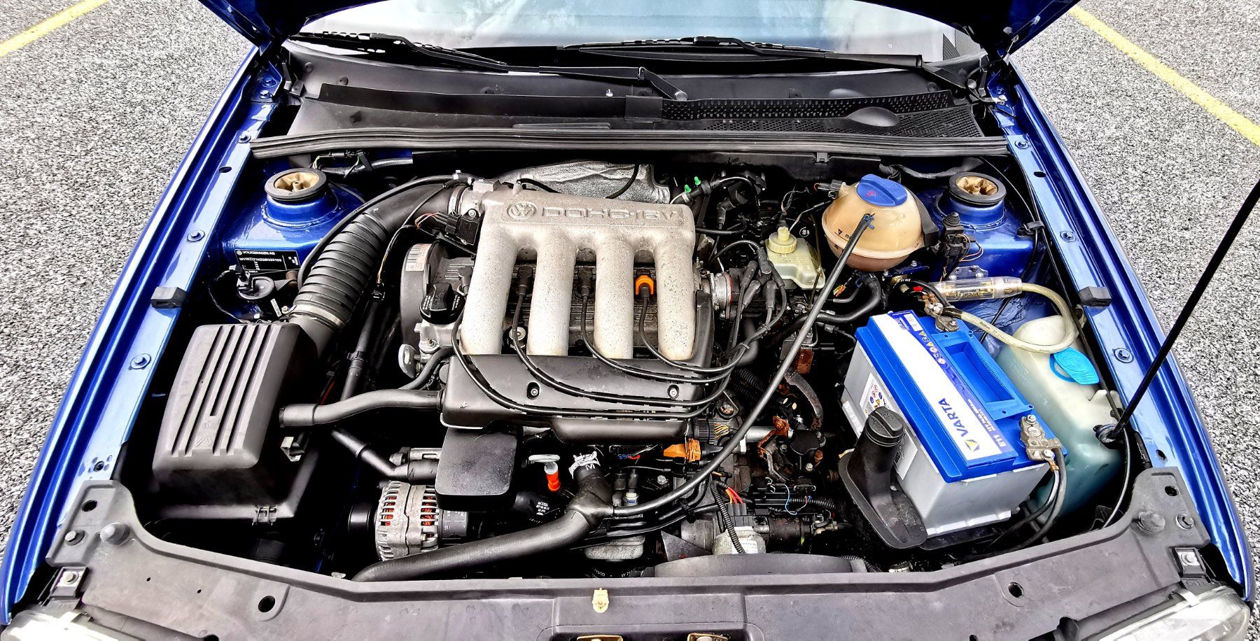 VW Automobili: VW Golf 3 Gti 16V Edition – Usato da Ennenda venduto da Leitwolf92 5