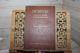 Die Brücke. Klinische Bilder in sechs Sprachen - LEJEUNE, F.