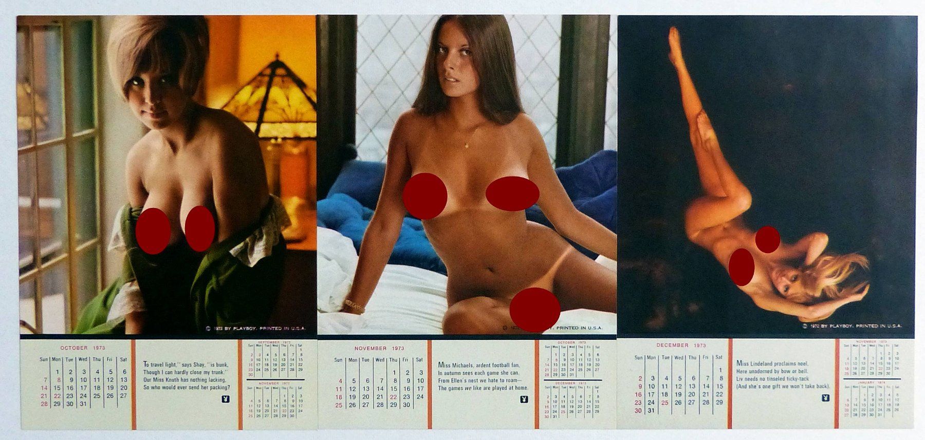 Riviste & Magazine: PLAYBOY 1973 CALENDAR ORIGINAL US RARE AND COMPLETE – Usato da Lugano venduto da YouWantUS 6
