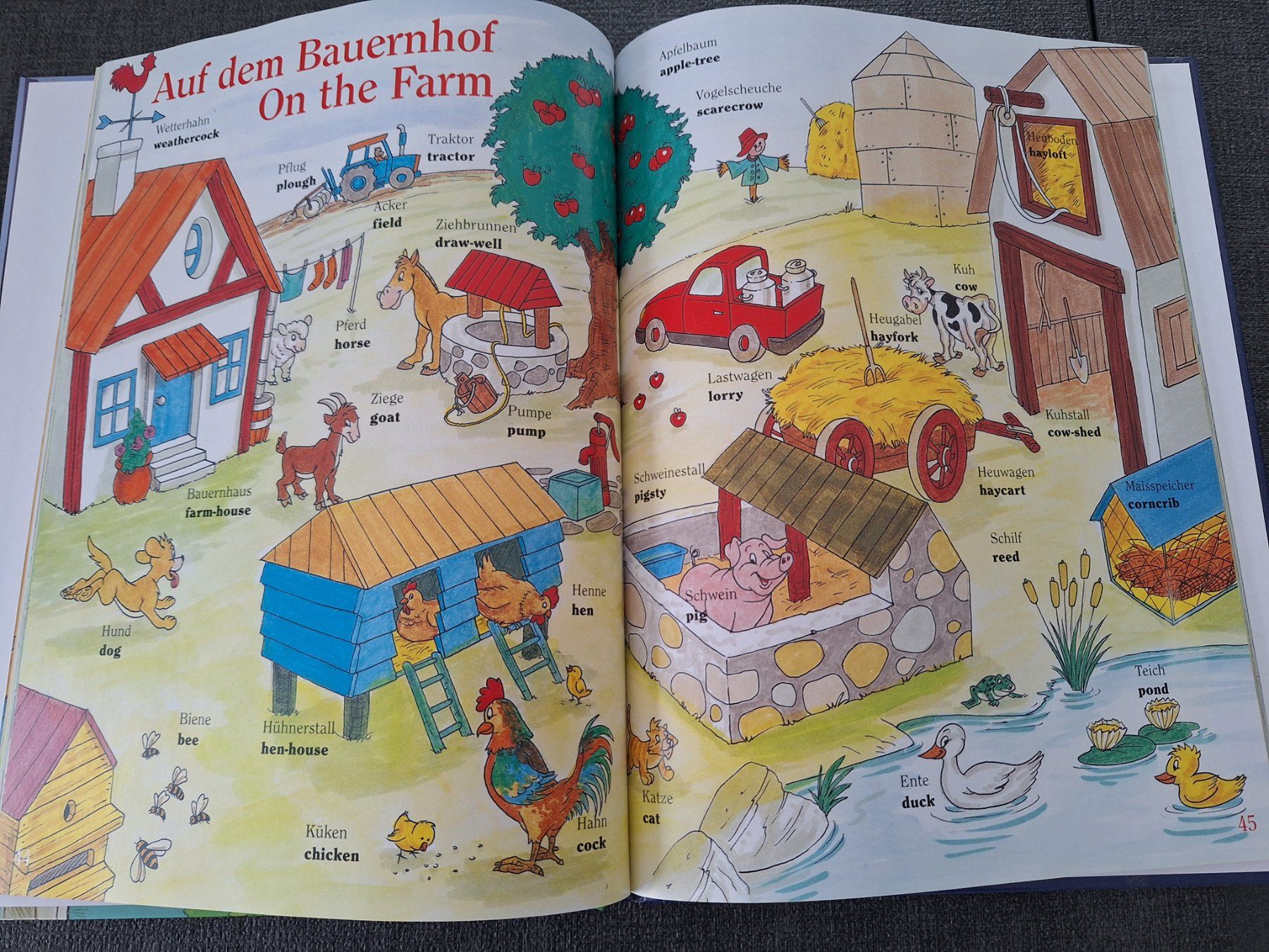 Libri: Englisch für Kids – Usato da Dietlikon venduto da Pgm16 1