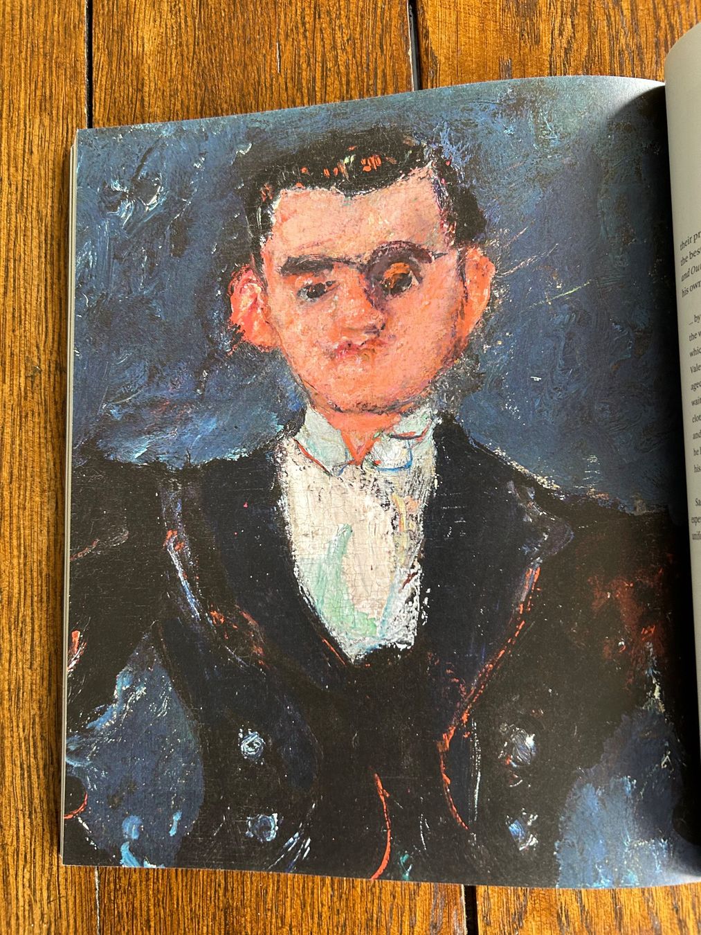 Libri: Soutine's Portraits - Cooks, Waiters & Bellboys – Usato da Basel venduto da Peter_schlemihl 9