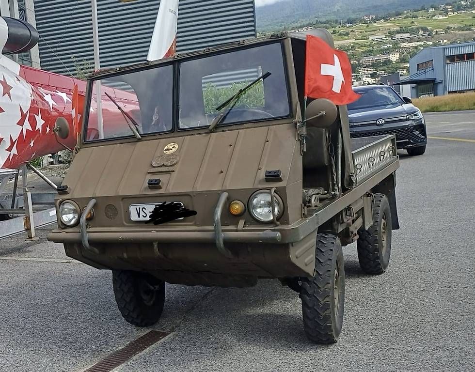 Veicoli commerciali: Haflinger expertisé vétéran  – Usato da Sion venduto da clo_6rqd 2