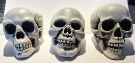 3 Stk. Schädel Kopf Modell kunststoff Halloween Dekoration
