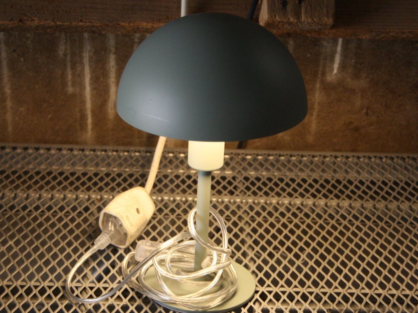 Lampade: TISCHLAMPE PILZLAMPE – Usato da Wauwil venduto da Pneuedy