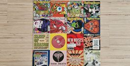 CD Sammlung "Rolling Stone - New Voices / New Noises"
