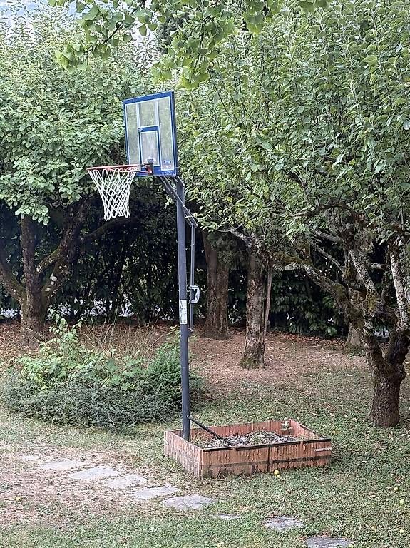 Basketballkörbe: Panier de basket LifeTime – Gebraucht aus Vessy von ongaros 2