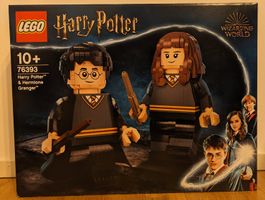 LEGO Harry Potter - Harry Potter & Hermine Granger - 76393
