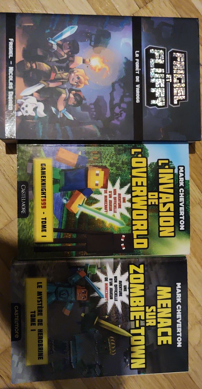 Libri: Lot de 3 Livres Minecraft – Usato da Arconciel venduto da Tilea08