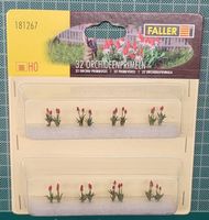 181267 Faller Orchideenprimeln 12 Stk(1 Einheit)neu