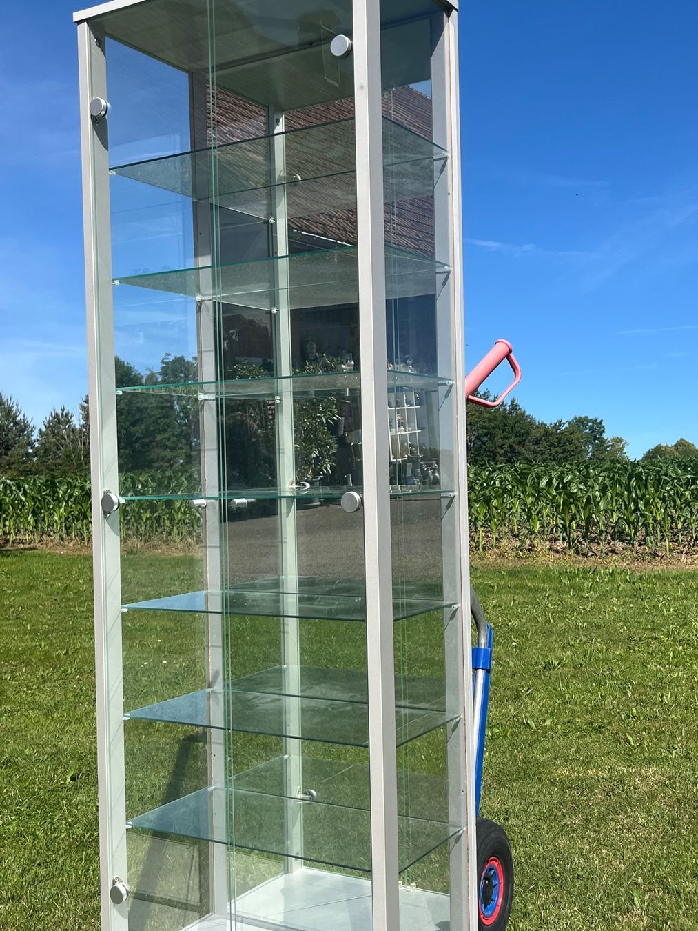 Vetrine: Glasvitrine 2 Türig – Usato da Allmendingen b. BE venduto da juair 4