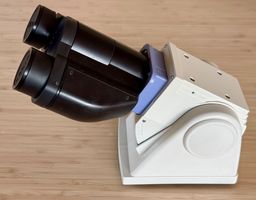 Nikon ergonomischer Binokulartubus für Eclipse Serie