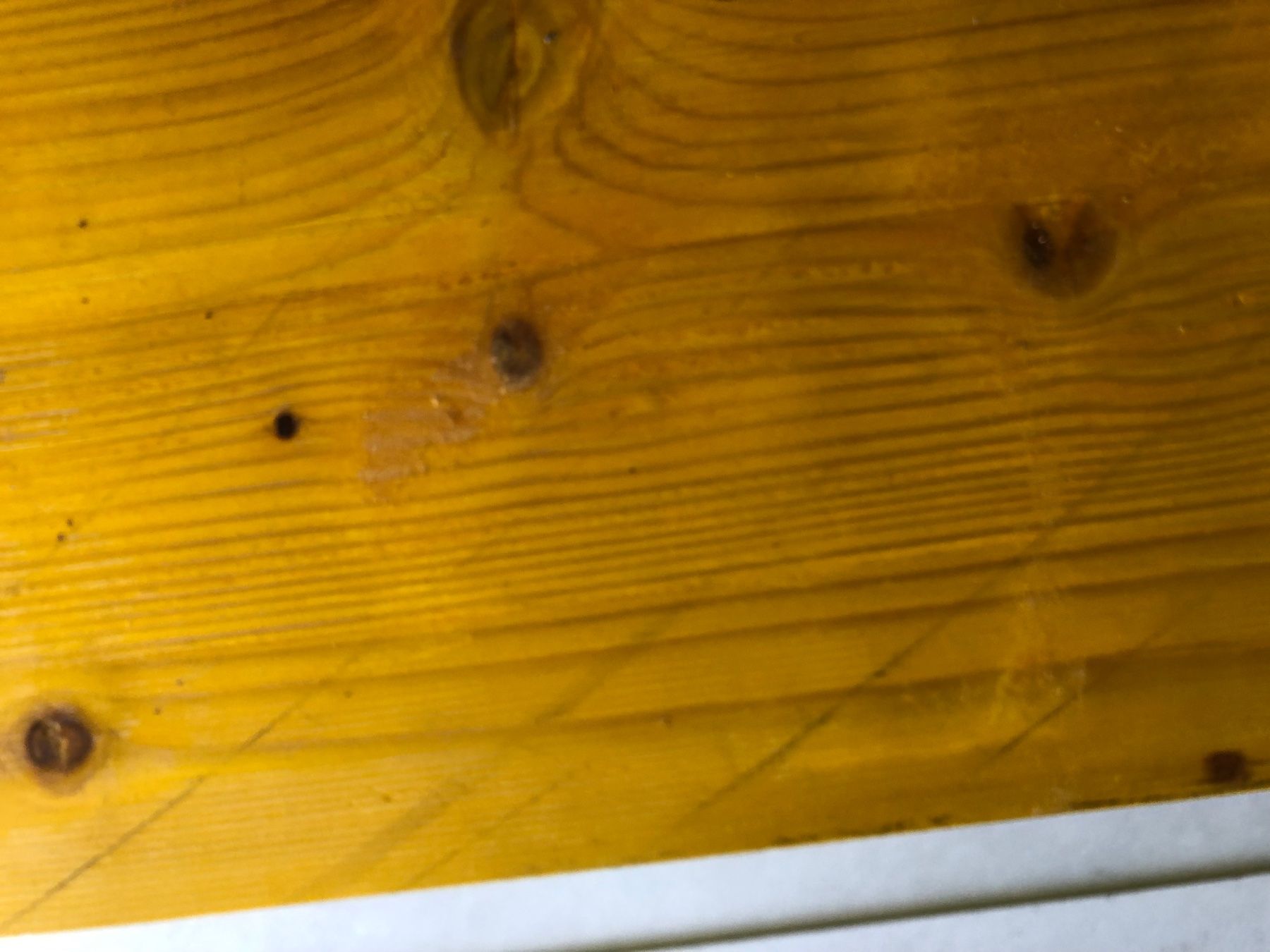 Articoli in legno: * Schalungsplatten Fichte * – Nuovo (secondo la descrizione) da Horgen venduto da Roka63 3