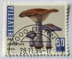 Nr.J 333 mit Etstempel Bern