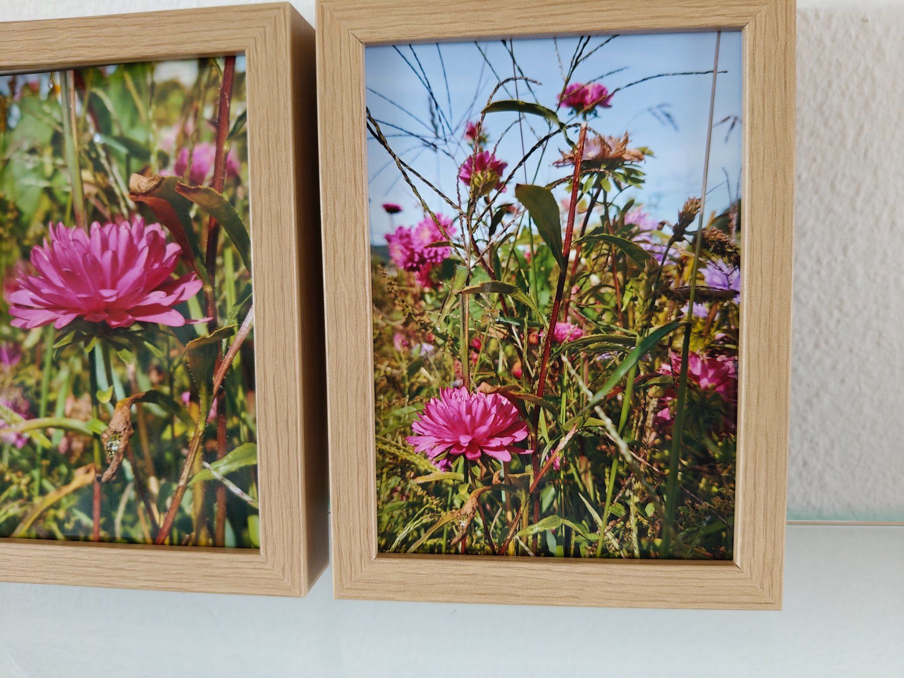 Foto & Immagini: Farbfotografie Blumen, drei Bilder – Nuovo e nell'imballaggio originale da Winterthur venduto da GDaniela 2