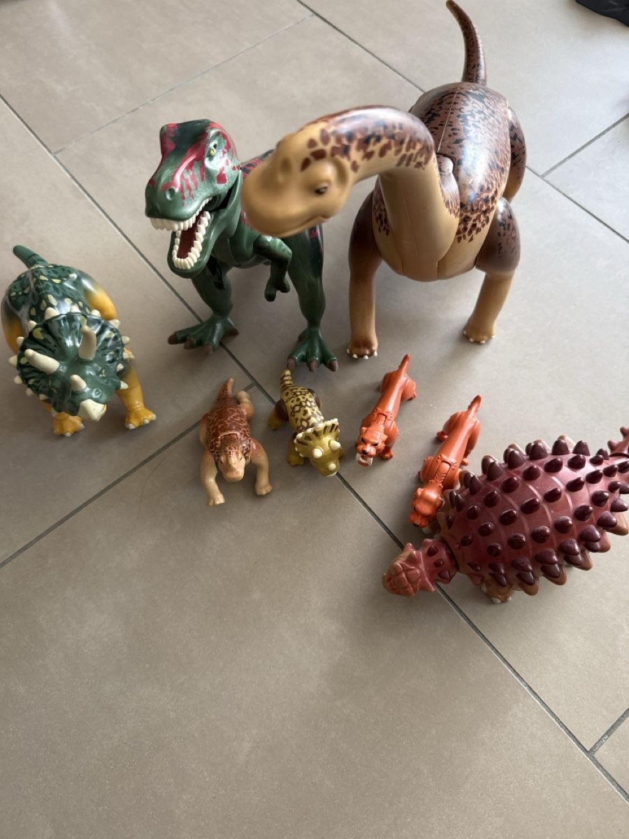 Playmobil Spielzeuge: Playmobil Dino Set – Gebraucht aus Schwerzenbach von Chris1 1
