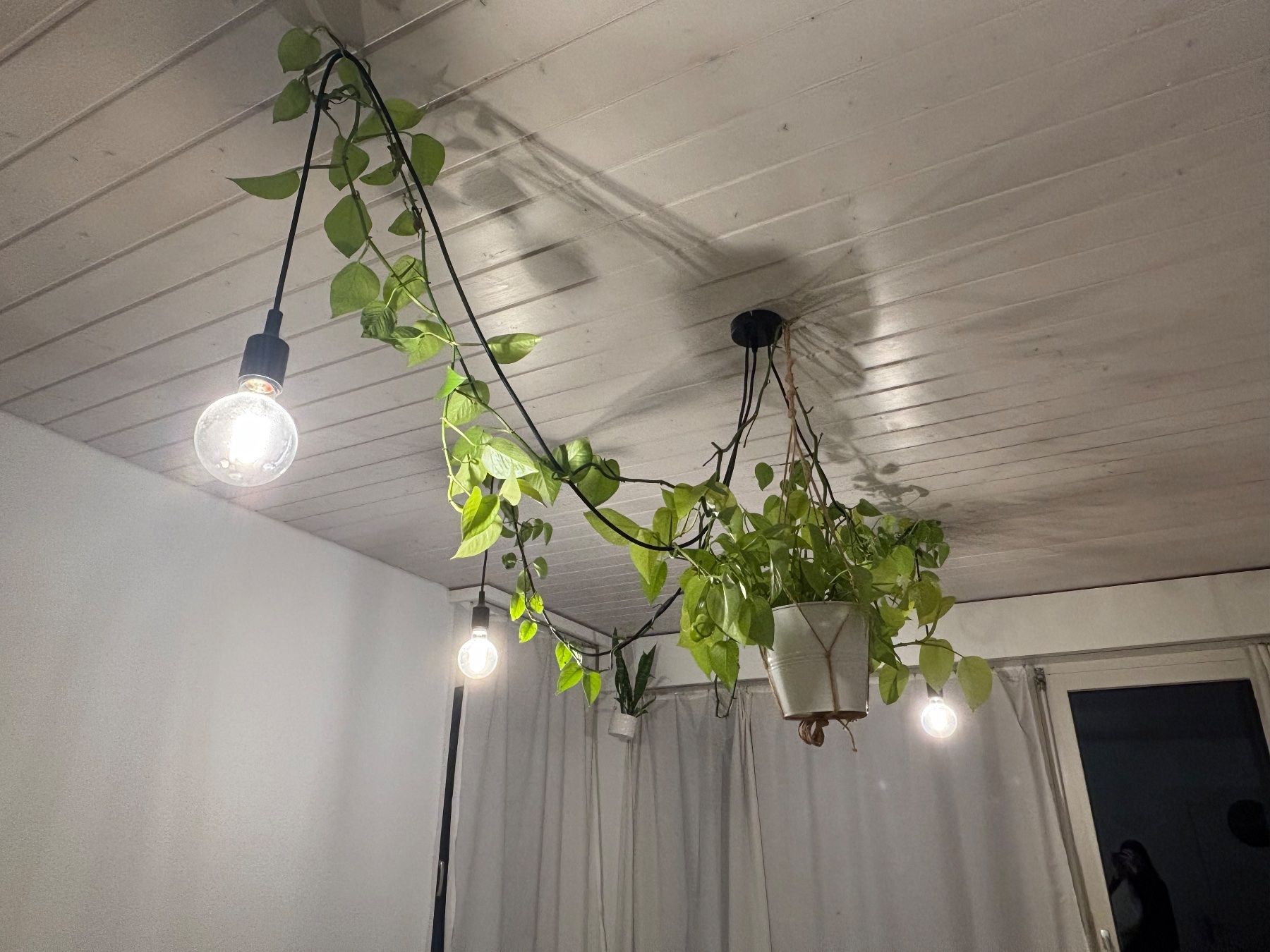 Lampadari & plafoniere: Deckenlampe mit Pflanze – Nuovo (secondo la descrizione) da Luzern venduto da Sina.Olivia 2