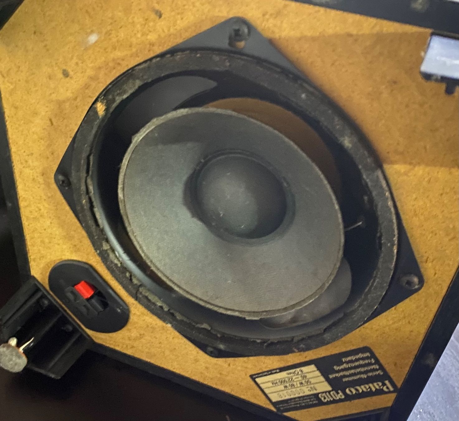 Casse acustiche: Pataco PD 113 Lautsprecher – Usato da Oberglatt ZH venduto da Kumar2 5