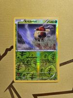 BREAKpoint - Kricketot