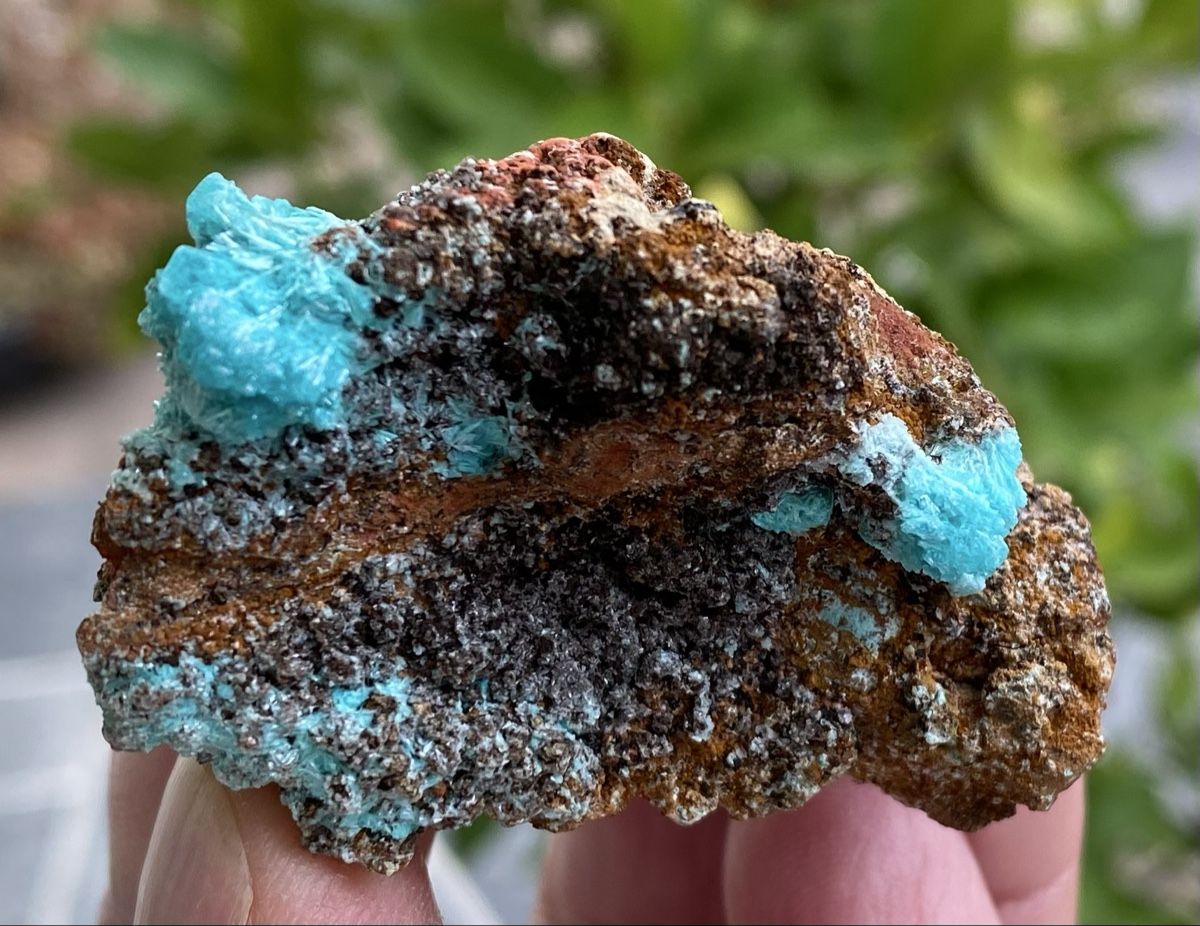 Mineralien & Heilsteine: Super Aurichalicit Mapimi Mexico  – Gebraucht aus Selzach von 321compac