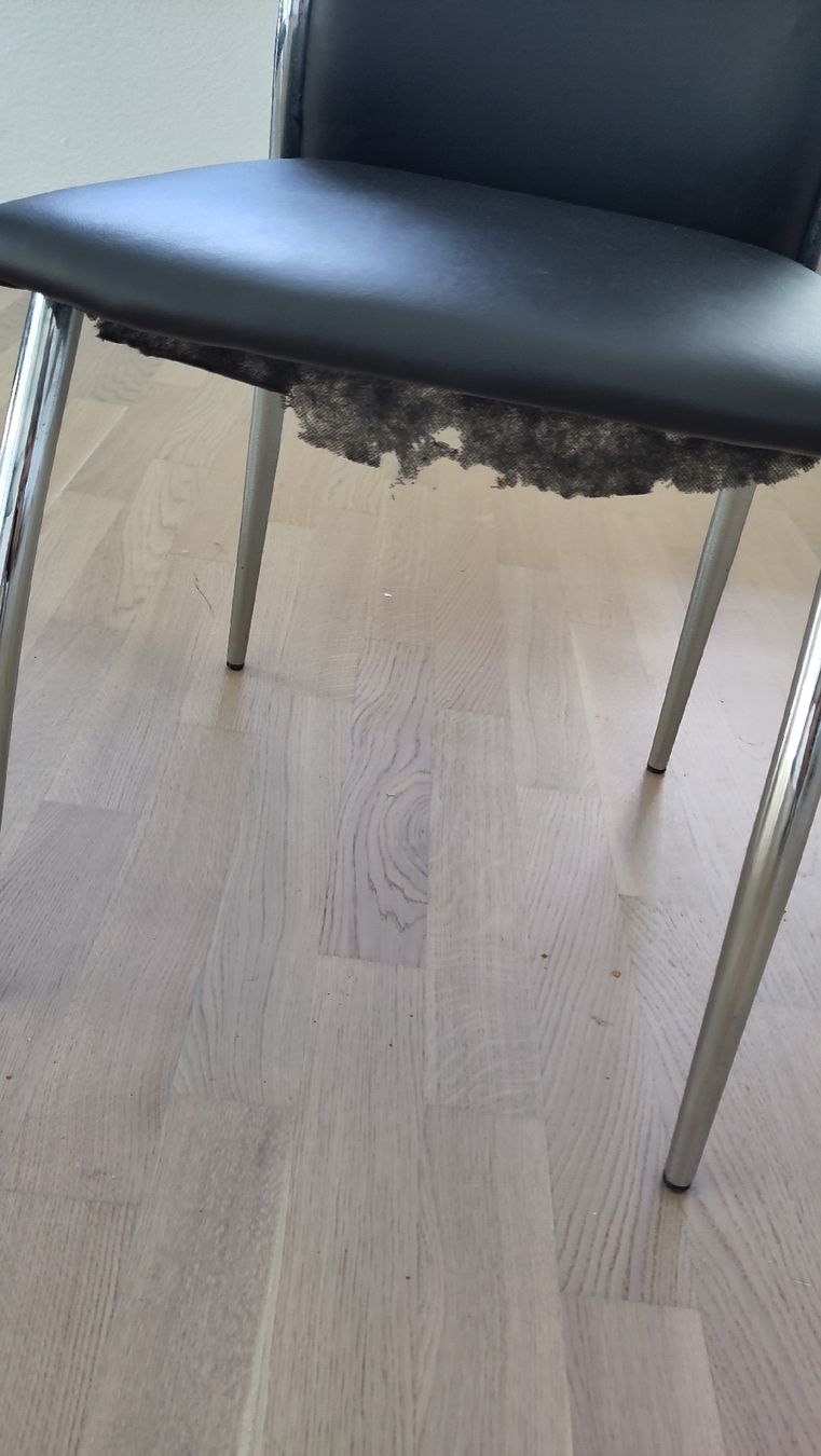 Sedie: Esszimmerstühle 4er Set Schwarz – Usato da Glattpark(Opfikon) venduto da gia_55rs 4