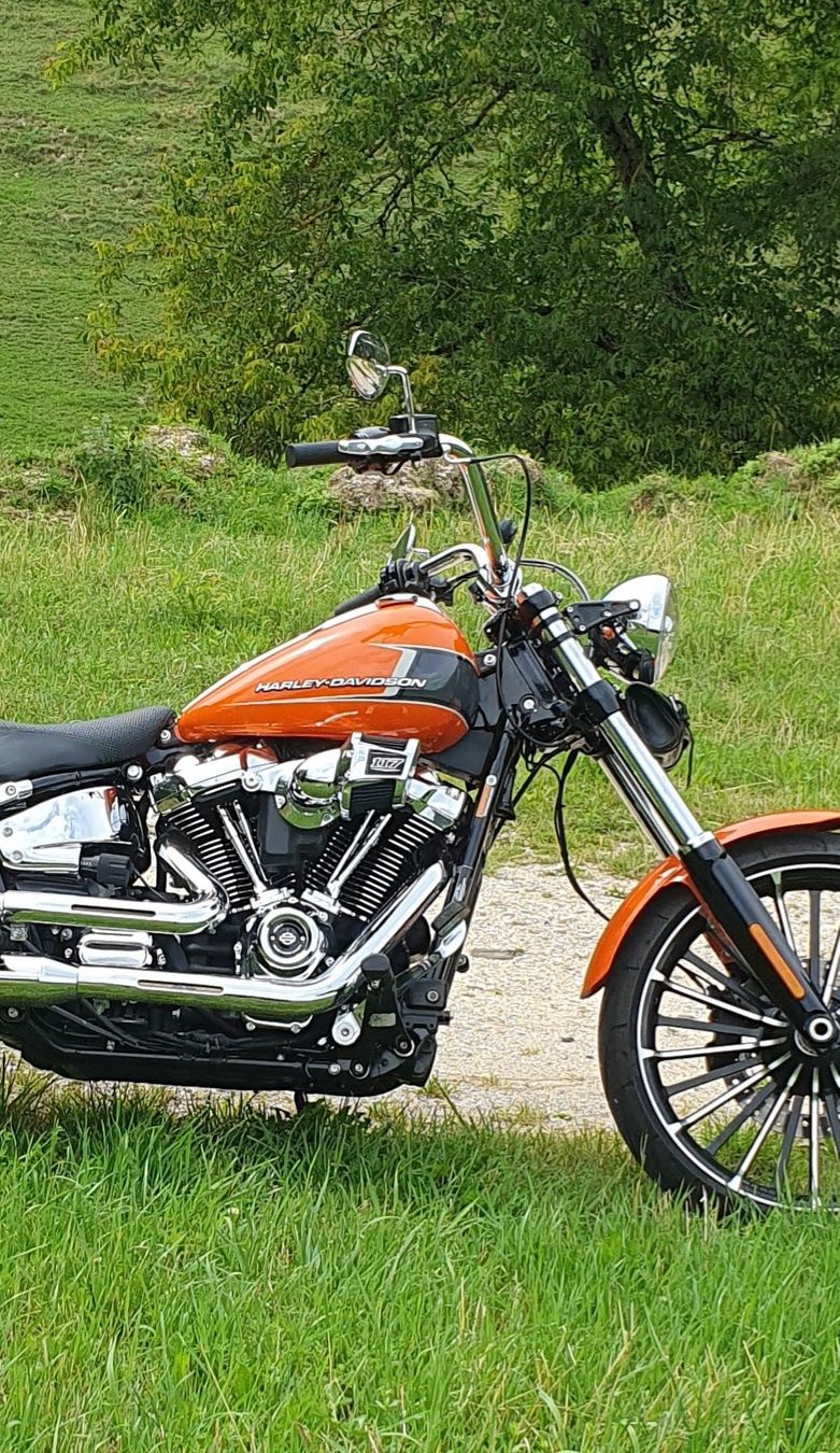 Harley-Davidson Chopper: Harley-Davidson Breakout 117 – Gebraucht aus Seewen SO von DealornoDeal 2