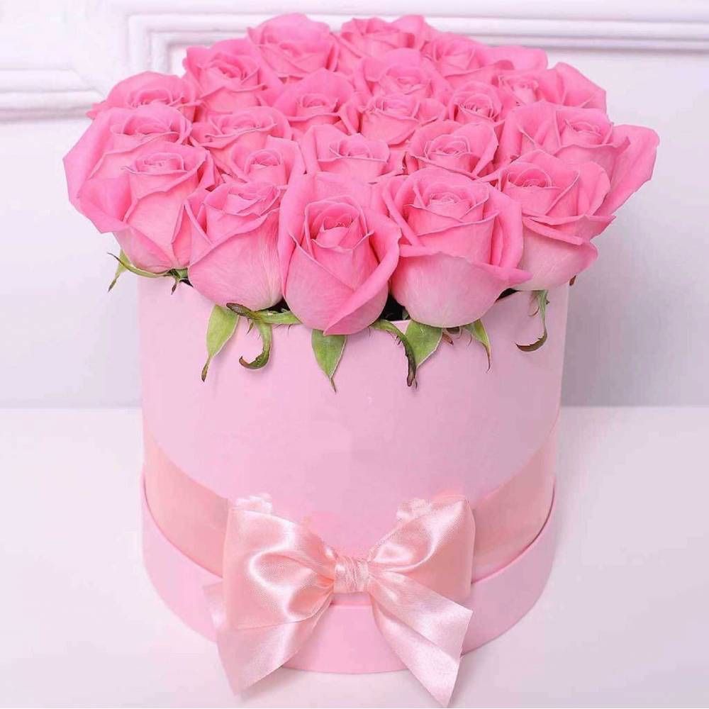 Altro in Decorazioni & Accessori: Boîte pour fleurs, cadeau. Neuve – Usato da Meyrin venduto da cak_5np9 2