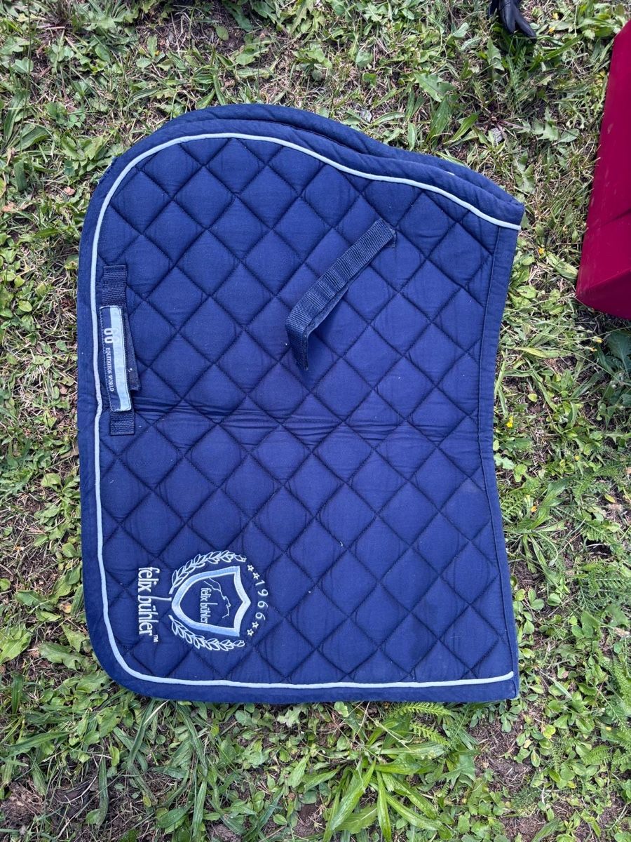 Altro in Accessori per animali: Set di Cavallo – Usato da Airolo venduto da dyl_jn5j 7