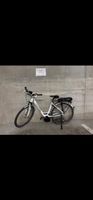 E-Bike Flyer Hercules weiss Tiefeinsteiger gebraucht