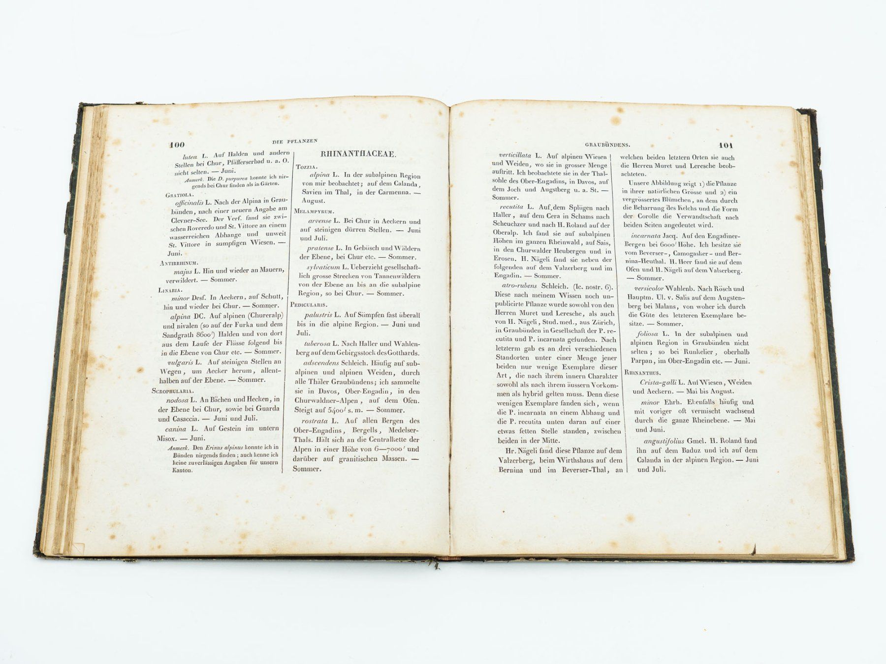 Libri: Antiquarisches Buch "Botanik Graubünden" - 1839 - Ref. 06/25 – Usato da Au ZH venduto da BrockiAu 6