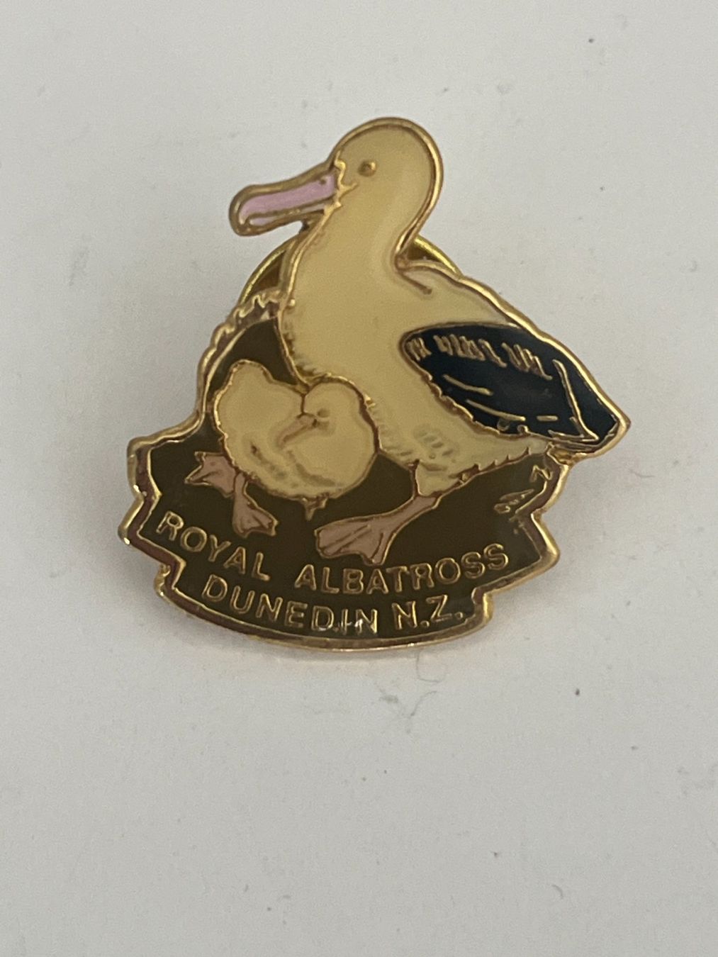 Placchette & Badge: Pin Royal Albatross Dunedin N.Z. – Usato da Dietikon venduto da sch_w2tw